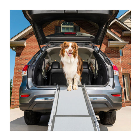 PetSafe Happy Ride Deluxe Telescoping Dog Ramp