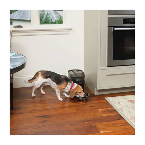 PetSafe Healthy Pet Simply Feed Automatic Feeder