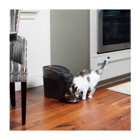 PetSafe Healthy Pet Simply Feed Automatic Feeder