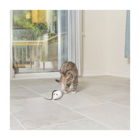 PetSafe RoloRat Automatic Cat Teaser Toy