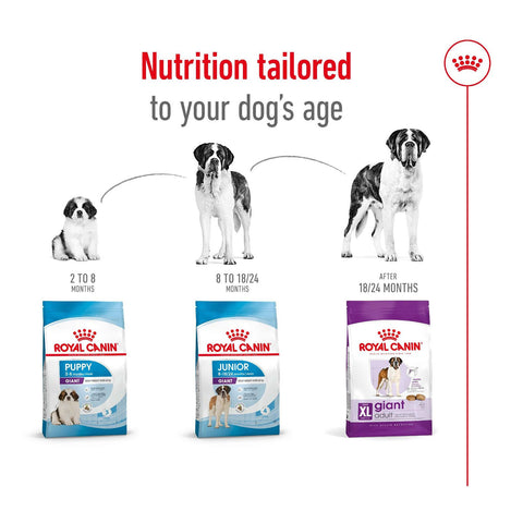 Royal Canin Giant Adult Dry Dog Food 15kg