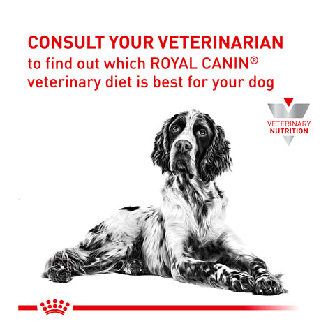 Royal Canin Veterinary Diet Hypoallergenic Dry Dog Food