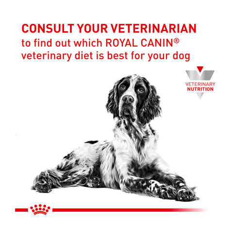 Royal Canin Veterinary Diet Renal Dry Dog Food