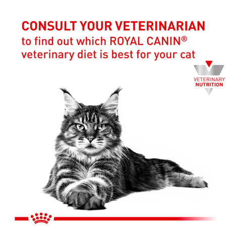 Royal Canin Veterinary Diet Renal Dry Cat Food