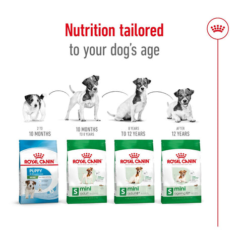 Royal Canin Mini Adult Dry Dog Food