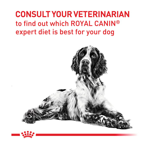 Royal Canin Veterinary Diet Dental Dry Dog Food 13kg