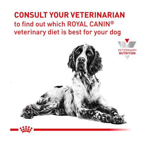 Royal Canin Veterinary Diet Gastrointestinal High Fibre Dry Dog Food 2kg