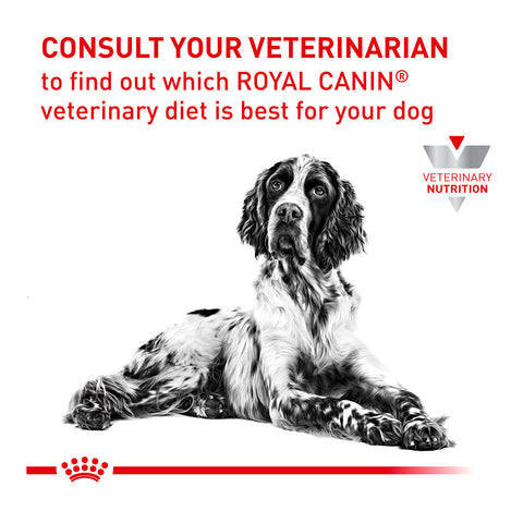 Royal Canin Veterinary Diet Anallergenic Dry Dog Food