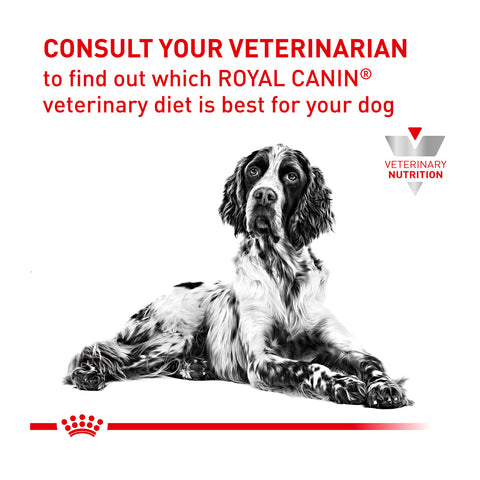 Royal Canin Veterinary Diet Renal Select Dry Dog Food 2kg