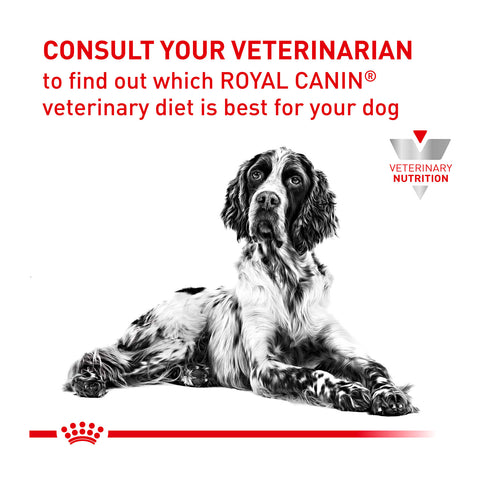 Royal Canin Veterinary Diet Mobility C2P+ Dry Dog Food