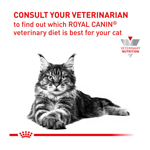 Royal Canin Veterinary Diet Anallergenic Dry Cat Food