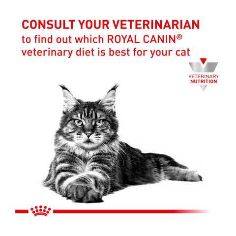 Royal Canin Veterinary Diet Early Renal Dry Cat Food