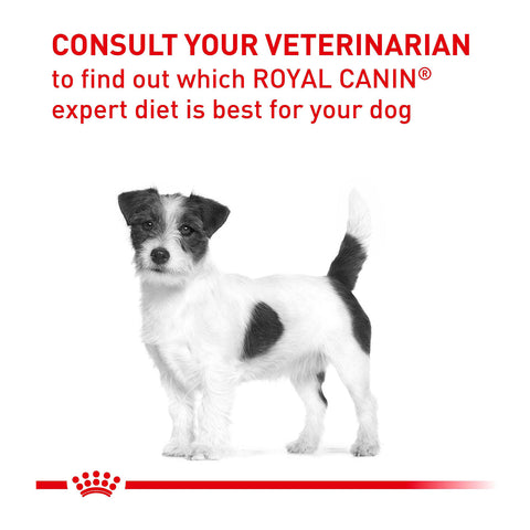 Royal Canin Veterinary Diet Small Dogs Dental Dry Dog Food