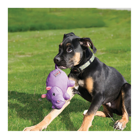 Kong Phatz Hippo Dog Toy Medium