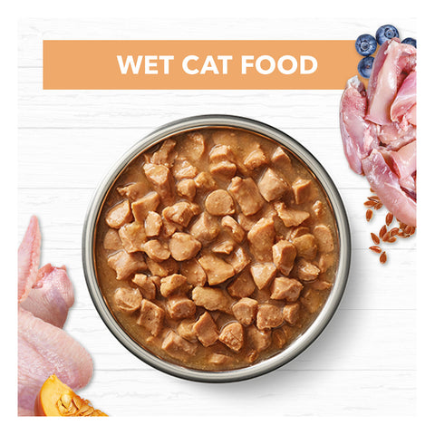 Ivory Coat Grain Free Chicken in Gravy Kitten Wet Cat Food