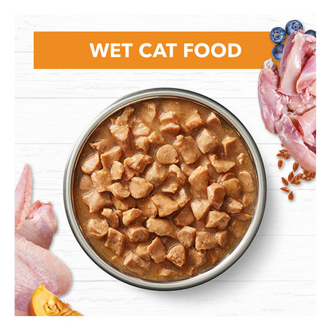 Ivory Coat Grain Free Chicken in Gravy Adult Wet Cat Food