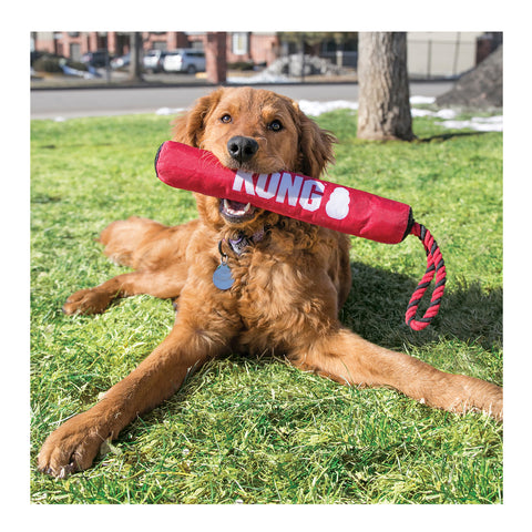 KONG Signature Stick with Rope Dog Toy Medium