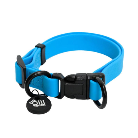 Olli the label Dog Collar