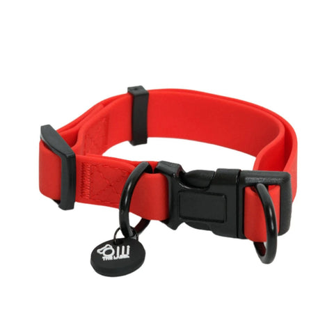 Olli the label Dog Collar