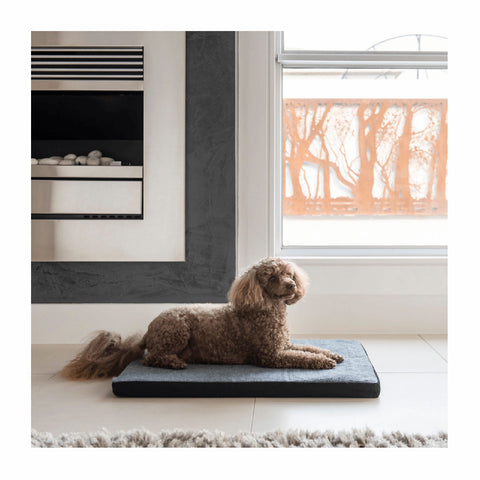 Superior Pet Goods Carpet Dog Mat Grey