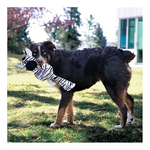 KONG Wubba No Stuff Zebra Dog Toy Large