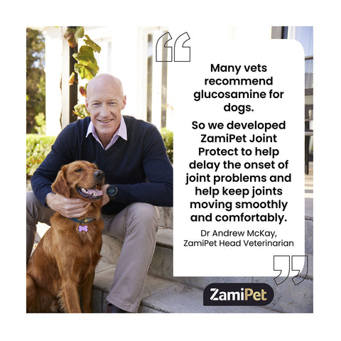 ZamiPet Joint Protect Chews for Dogs