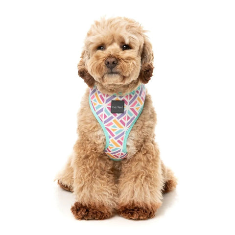 FuzzYard Bubblegum Burst Dog Harness