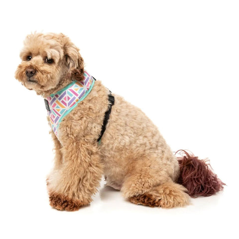 FuzzYard Bubblegum Burst Dog Harness