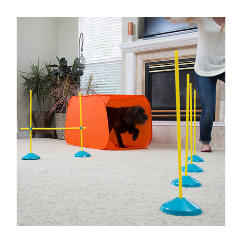 Outward Hound Zip & Zoom Indoor Dog Agility Training Kit