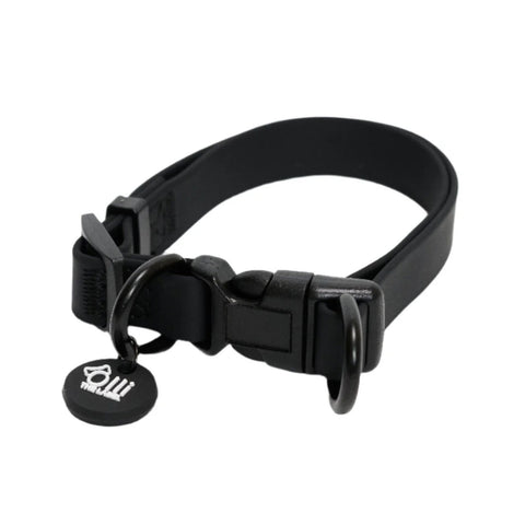 Olli the label Dog Collar