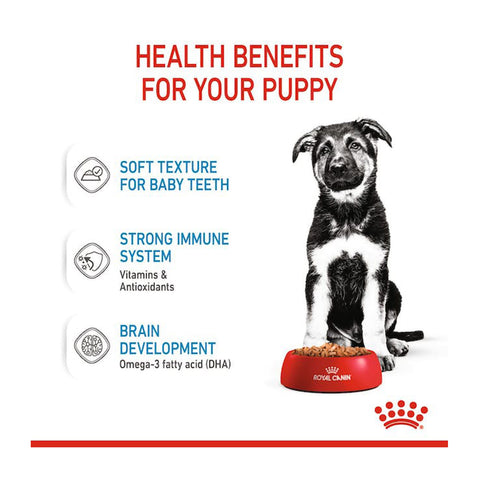 Royal Canin Maxi Puppy Wet Dog Food