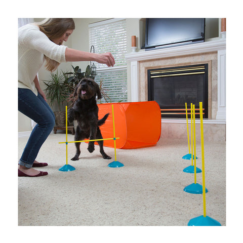 Outward Hound Zip & Zoom Indoor Dog Agility Training Kit