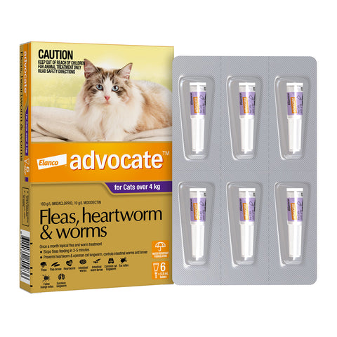 Advocate Flea, Heartworm & Worms for Cats +4kg