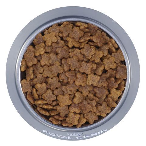 Royal Canin Mini Adult Dry Dog Food