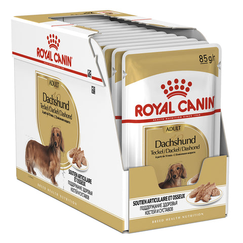 Royal Canin Dachshund Adult Wet Dog Food