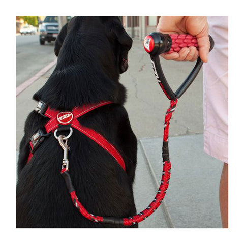 EzyDog Cujo Dog Lead