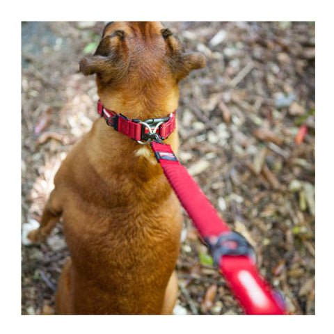 EzyDog Zero Shock Lead LITE