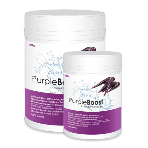 LifeWise Purple Boost Immuno Stimulant